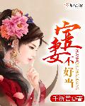 宦妻不好当