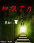 神探丁力
