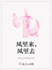 风里来，风里去