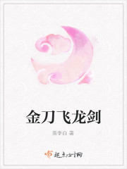 金刀飞龙剑