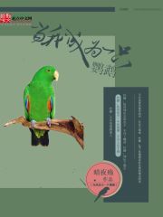 当我成为一只鹦鹉