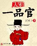 大宋一品官