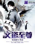 都市之网文时代