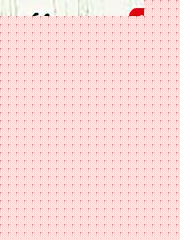 腐蝶残阳