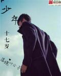 少年十七岁