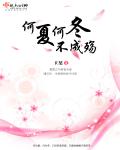 何夏何冬不成殇