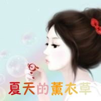 夏天的熏衣草