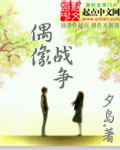 偶像战争