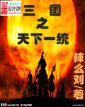 三国之天下一统