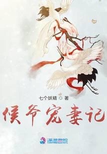 候爷宠妻记