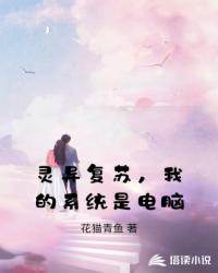 灵异复苏，我的系统是电脑