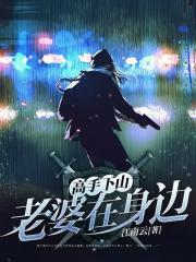 高手下山：老婆在身边