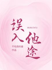 误入他途
