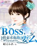 萌妻求抱抱：BOSS，要么
