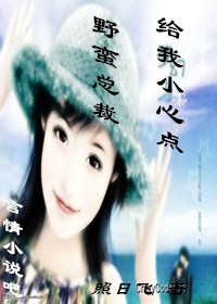 野蛮总裁，给我小心点