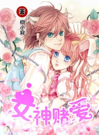 女神赌爱
