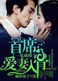 一见成婚，首席爱妻入骨