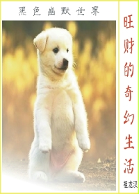 旺财的奇幻生活