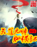 天篷元帅纵横记