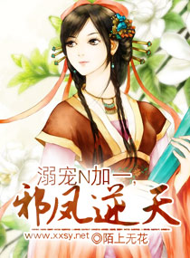 溺宠N加一，邪凤逆天