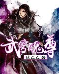 武穹魄尊