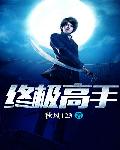 终极高手