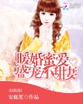 暖婚蜜爱：盛宠小甜妻