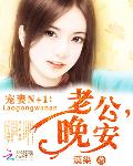 宠妻N+1：老公，晚安