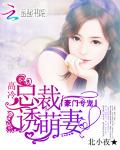 闪婚甜蜜：老婆，好久不见