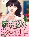 惹爱成婚：秦少的麻辣鲜妻