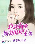 总裁霸爱：撩人娇妻萌宝来袭