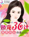 娇宠36计：首席约么