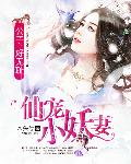 仙宠小妖妻：公子，好无耻
