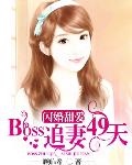 闪婚甜爱：BOSS追妻49天