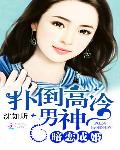 暗恋成婚：扑倒高冷男神