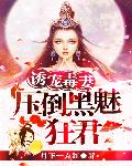 毒妻宠翻天：黑魅狂君