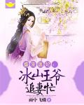 盛宠医妃：冰山王爷追妻忙