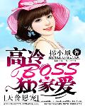 天价恩宠：高冷BOSS独家爱