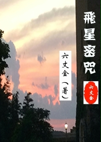 飞星密咒