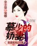 史上第一宠婚：慕少的娇妻