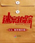 迷案追踪(书坊)
