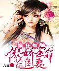 倾狂红颜：傲娇王爷苦追妻