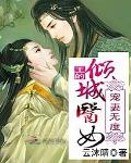 宠妻无度：王的倾城医妃