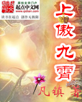 上傲九霄
