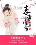 毒妻难当