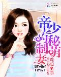 克拉蜜恋：帝少的秘制萌妻