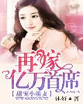 甜宠小萌妻：再嫁亿万首席