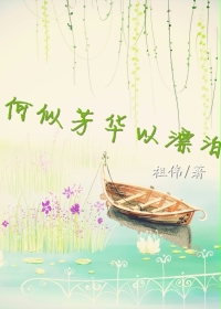 何似芳华以漂泊