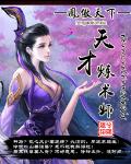 凤傲天下：天才炼术师