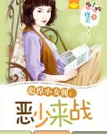 彪悍小女佣：恶少来战